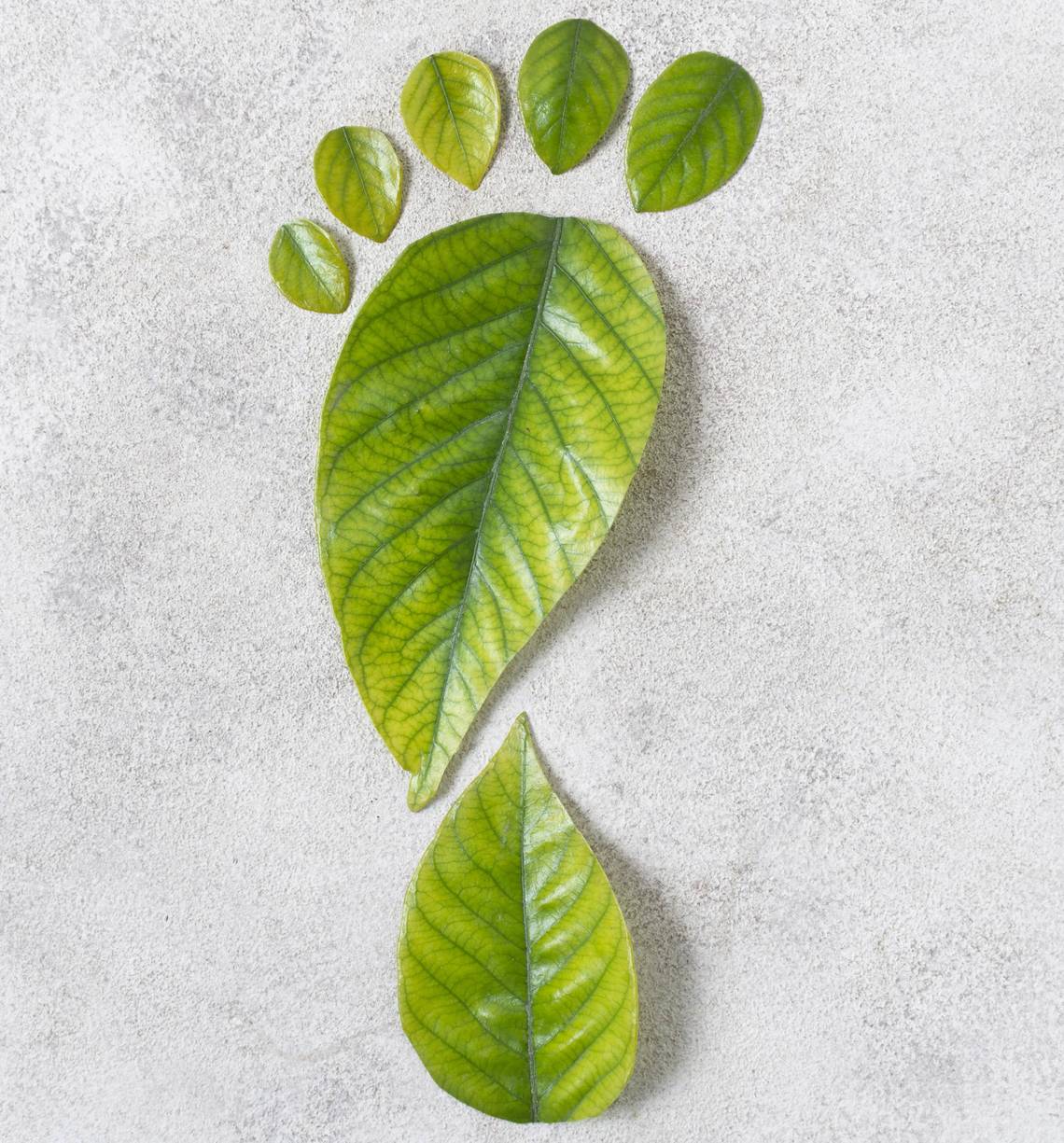 Grüne Blätter in Form eines Fussabdrucks auf grauem Untergrund angeordnet.