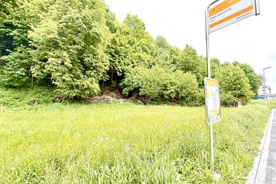 Bild von der Postauto-Haltestelle Oberstmühle. Bild: Heilpraktikerschule Luzern