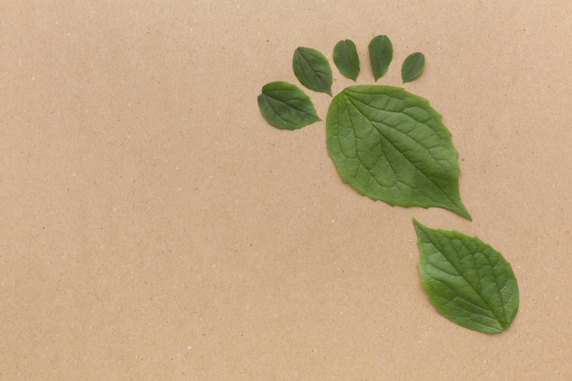Grüne Blätter in Form eines Fussabdrucks auf braunem Untergrund angeordnet.