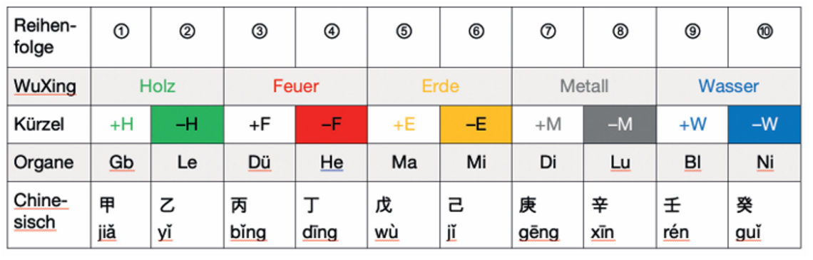 Tabelle mit zehn Himmelsstämmen, geordnet nach WuXing-Elementen Holz, Feuer, Erde, Metall und Wasser, mit zugehörigen Kürzeln, Organen und chinesischen Schriftzeichen.