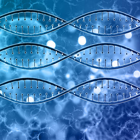 Epigenetik, Quantenbiologie, Interaktion